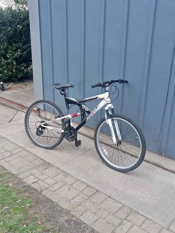 24" Bike. (Needs rear tire)